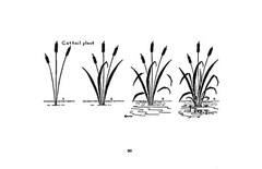 What To Draw And How To Draw It « 1913 » 76 Pages