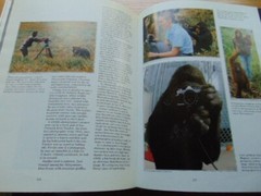 1981 Images of the World- HB- Nat. Geographic- 396 pages
