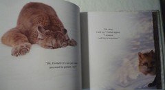 The Magic of the Forest Jacqueline Crivello Hardcover SIGNED NEW