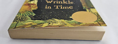 A Wrinkle in Time by Madeleine L&rsquo;Engle – Paperback Edition (ISBN: 9780312367541)