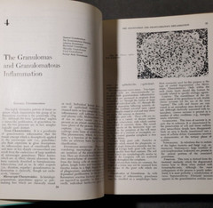 BOYD&rsquo;S PATHOLOGY FOR THE SURGEON 8th Ed.by William Anderson 1967 HC Saunders