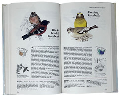 Reader&rsquo;s Digest Book of North American Birds 1990 600 Species 576 Pages Illos