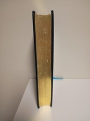 A Wrinkle In Time Trilogy by Madeleine L&rsquo;Engle Barnes & Noble Leather Bound Ed.