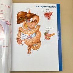 Memmler&rsquo;s The Human Body in Health & Disease Cohen Hull 14th Ed. Wolters Kluwer