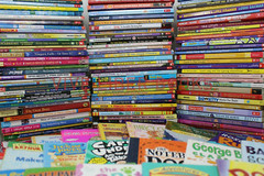 Bulk/Huge Lot of 100 of Children&rsquo;s Kids Chapter Books – Random – Free Shipping!
