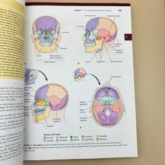 Memmler&rsquo;s The Human Body in Health & Disease Cohen Hull 14th Ed. Wolters Kluwer
