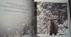 The Magic of the Forest Jacqueline Crivello Hardcover SIGNED NEW