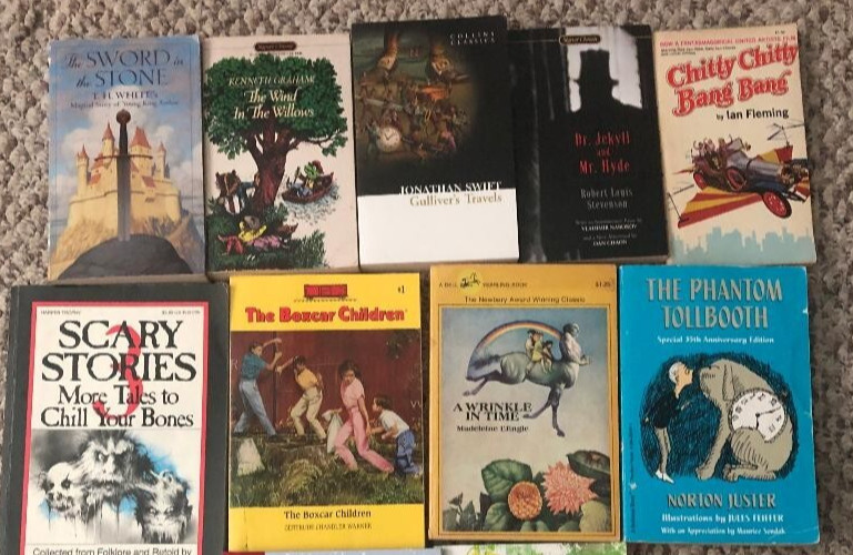 12 Children&rsquo;s Kid&rsquo;s Classic Books Lot: Scary, Snicket, Boxcar, Hatchet, OZ