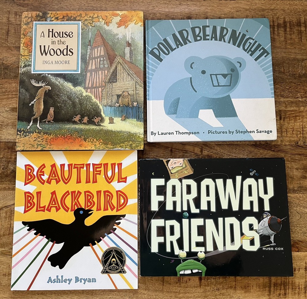 Lot of 4 Children&rsquo;s Books for Kids A House In The Woods Faraway Friends Ages 4-8