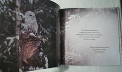 The Magic of the Forest Jacqueline Crivello Hardcover SIGNED NEW