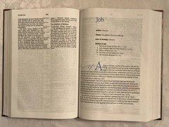 NIV Prophecy Marked Reference Study Bible 1998 Hardcover