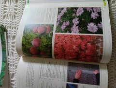 THE COMPLETE BOOK OF PRACTICAL GARDENING Peter McHoy 2001 512 Pages 12×9&Prime; HC DJ