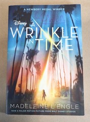 Lot of 11 A Wrinkle In Time by Madeleine L&rsquo;Engle GUIDED READING Teachers Set