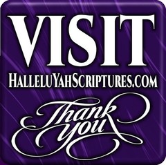 BIBLE Complete Edition & Extra-Biblical Books & Much More Has It All Worlds BEST