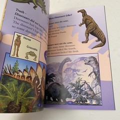 Kids Book Lot Of 4 Grade 2-3 Age 7-8 Dinosaur Detective Volcanoes Places MLK