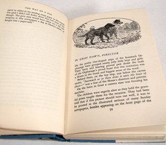 The Way of a Dog by Albert Terhune First Edition Hardback w/ Dust Jacket 1932