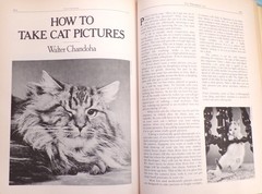 « Cat Catalog », The Ultimate Cat Book, Large « Very Good » 1st Ed. Book, 352 pages