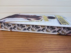 Dirty Headlines L.J. Shen Signed Special Edition Baddies Book Box Exclusive