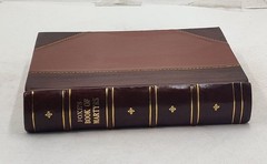 Foxe&rsquo;s Book of martyrs; 1897 by Foxe, John [Leather Crafted]