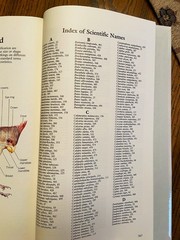 Vintage Reader&rsquo;s Digest « BOOK of NORTH AMERICAN BIRDS », hardcover, 576 pgs, Mint