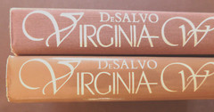 Biography VIRGINIA WOOLF Impact of Child Sexual Abuse by De Salvo 372 pages HCDJ