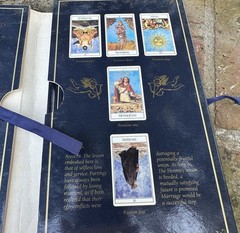 Lovers Tarot: Affairs Heart Book Only