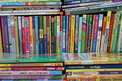 Bulk/Huge Lot of 100 of Children&rsquo;s Kids Chapter Books – Random – Free Shipping!