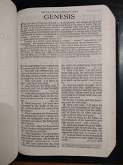 The Holy Bible Prophecy Study Edition. Nelson. 2008. Genuine Leather (8.5&Prime; x 6&Prime;)