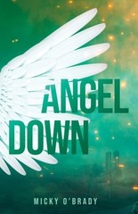 Angel Down by Micky O&rsquo;Brady: New
