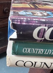 3 VTG 90&rsquo;s 2000&rsquo;s Country Style Interior Decorating Books HC Farmhouse 10.75&Prime;