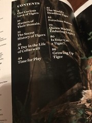 MAGAZINE_**TIGERS**_ 2021_LIFE_BIG CAT_*INSIDE THE TIGER&rsquo;S MIND*_NEW UNREAD COPY