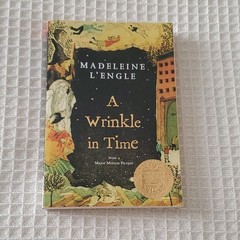 Madeleine L&rsquo;Engle A Wrinkle in Time Quintet Perfect 2007 Juvenile Fiction Squar…